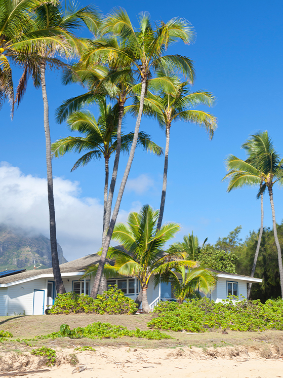home-in-hawaii